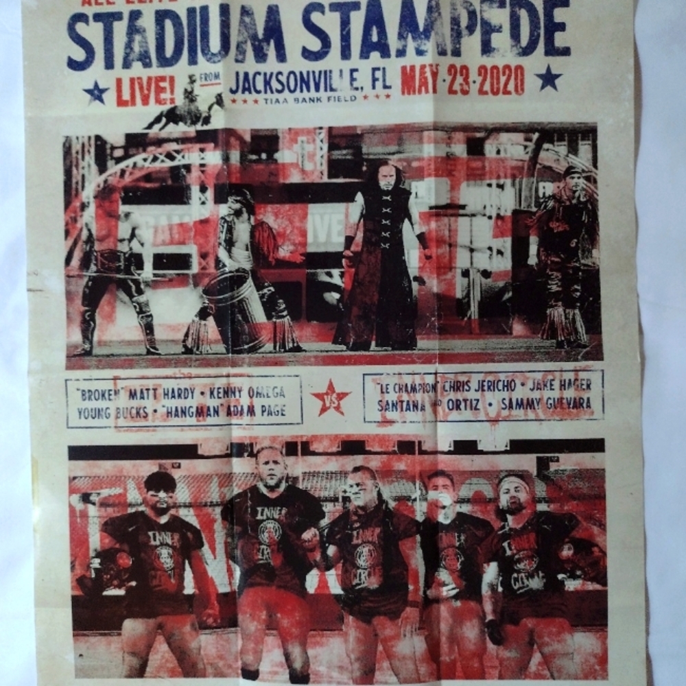 Stadium Stampede Double Or Nothing 2020 Elite Poster AEW Crate Exclusive New